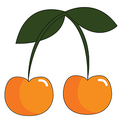 Image showing A paid of tasty cherries vector or color illustration