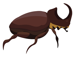 Image showing  Rhinoceros beetle, vector or color illustration.