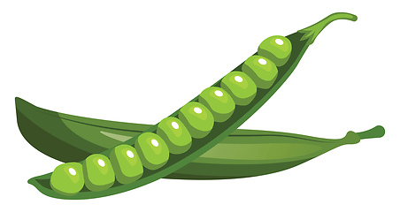 Image showing Cartoon of green peas vector illustration on white background.