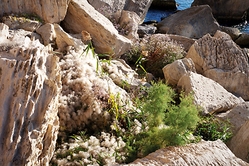 Image showing Rocky coast of the Caspian Sea.