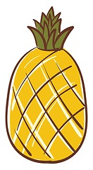 Image showing Pineapple, vector or color illustration.