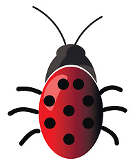 Image showing A beautiful insect with red and black polka dot design in back v