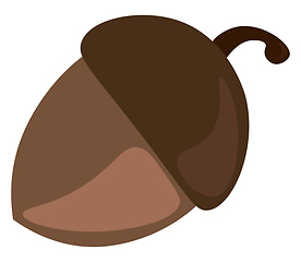 Image showing A brown oak nut or acorn nut vector color drawing or illustratio