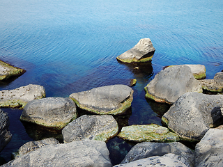 Image showing Cliffs by the sea.