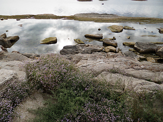 Image showing Cliffs by the sea.