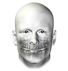 Image showing teeth dental scan adult male