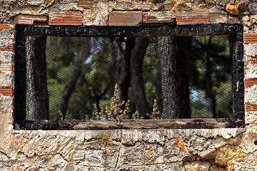 Image showing burned window frame forest view