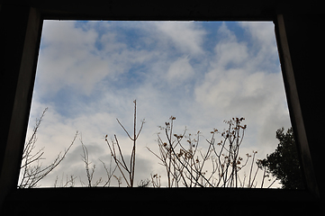 Image showing window view trees and winter sky