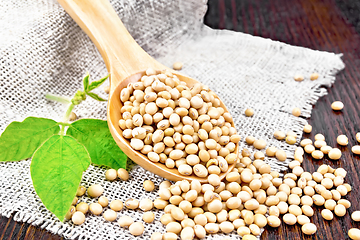 Image showing Soybeans in spoon with leaf on dark board