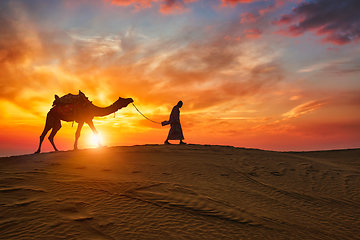 Image showing Indian cameleer camel driver with camel silhouettes in dunes on sunset. Jaisalmer, Rajasthan, India