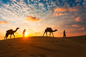 Image showing Indian cameleers camel driver with camel silhouettes in dunes on sunset. Jaisalmer, Rajasthan, India