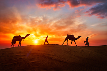 Image showing Indian cameleers camel driver with camel silhouettes in dunes on sunset. Jaisalmer, Rajasthan, India