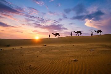 Image showing Indian cameleers camel driver with camel silhouettes in dunes on sunset. Jaisalmer, Rajasthan, India