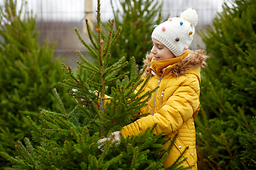 Image showing little girl choosing christmas tree at market