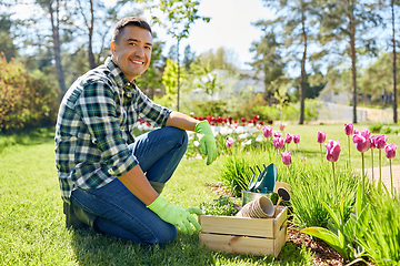 Image showing happy man with tools in box and flowers at garden