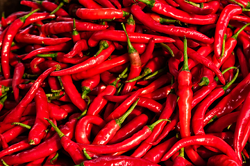 Image showing Red spicy chili peppers