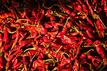 Image showing Red spicy chili peppers