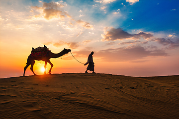 Image showing Indian cameleer camel driver with camel silhouettes in dunes on sunset. Jaisalmer, Rajasthan, India