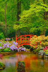 Image showing Japanese garden, Park Clingendael, The Hague, Netherlands