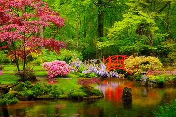 Image showing Japanese garden, Park Clingendael, The Hague, Netherlands