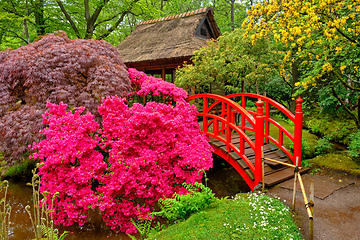 Image showing Japanese garden, Park Clingendael, The Hague, Netherlands