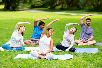 Image showing group of people exercising at summer park