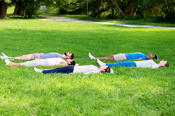 Image showing group of people doing yoga at summer park