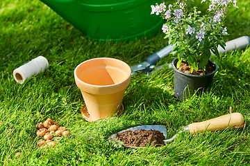 Image showing watering can, garden tools and flower at summer