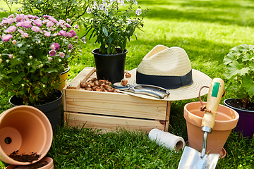 Image showing garden tools, wooden box and flowers at summer