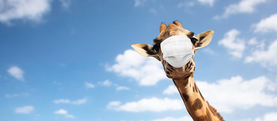 Image showing giraffe in medical mask over sky