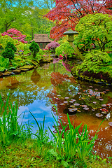 Image showing Japanese garden, Park Clingendael, The Hague, Netherlands