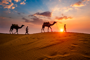 Image showing Indian cameleers camel driver with camel silhouettes in dunes on sunset. Jaisalmer, Rajasthan, India