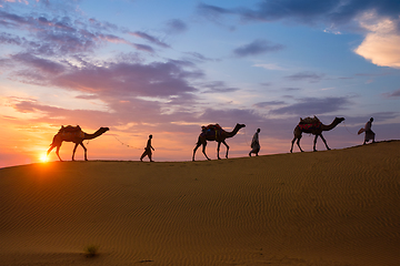 Image showing Indian cameleers camel driver with camel silhouettes in dunes on sunset. Jaisalmer, Rajasthan, India