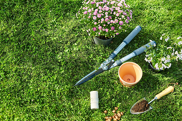 Image showing garden tools, flower pot and bulbs on grass