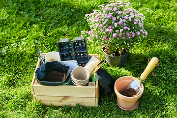 Image showing garden tools in wooden box and flowers at summer