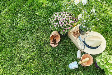 Image showing garden tools, wooden box and flowers at summer