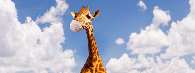 Image showing giraffe in medical mask over sky