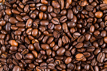 Image showing Coffee bean