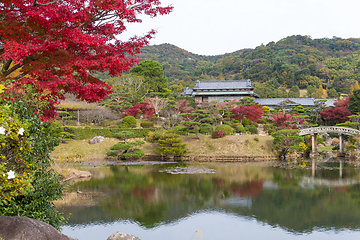 Image showing Japanese beautiful garden in autumn season