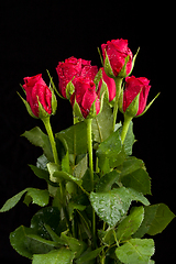 Image showing bouquet fresh red roses