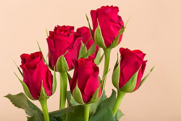 Image showing Bouquet of fresh red roses