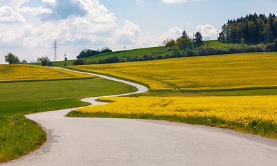 Image showing Beautiful rape field spring rural landscape