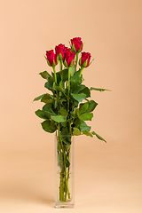 Image showing Bouquet of fresh red roses