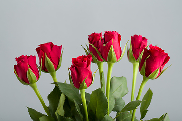 Image showing bouquet fresh red roses