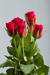 Image showing bouquet fresh red roses