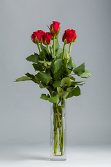 Image showing bouquet fresh red roses