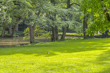 Image showing idyllic park scenery