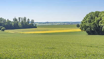 Image showing rural scenery in Hohenlohe