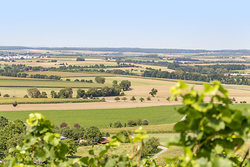 Image showing winegrowing scenery in Hohenlohe