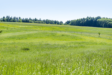 Image showing idyllic spring time scenery